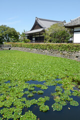 橘寺　放生池と本堂　奈良県明日香