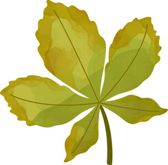 Autumn Leaf for Thanksgiving Decorative Element