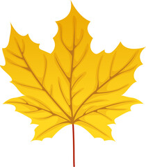 Maple Leaf for Thanksgiving Decorative Element