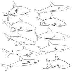 shark movements vector shihouette collection
