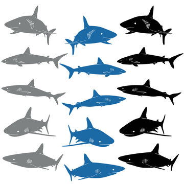 shark movements vector shihouette collection
