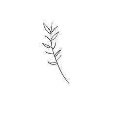 green leaf drawing