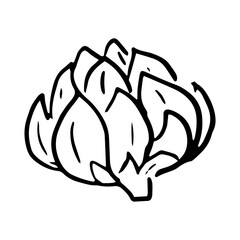 Lettuce icon Vector illustration on white background