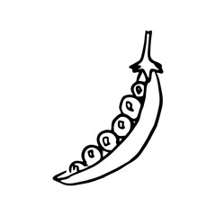 Pea string icon Vector illustration on white background