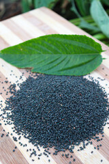 jute seed stock with leaf