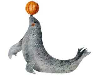 Watercolor sea lion. Underwater animal illustration with transparent background