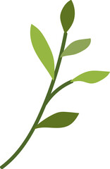 Hand painted leaves illustration