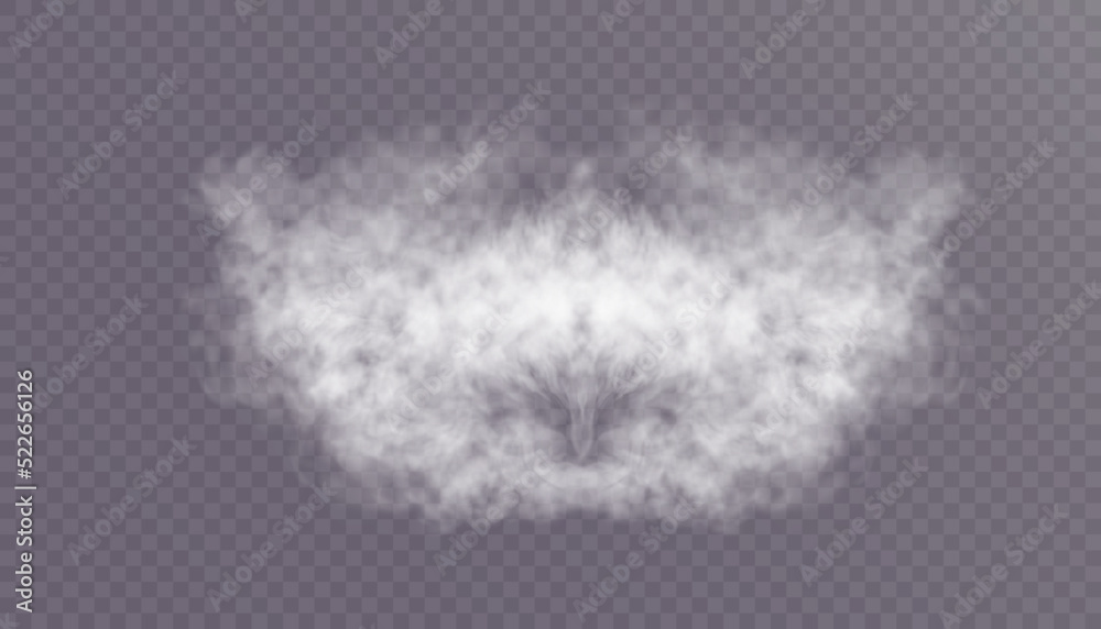 Poster translucent smoke or foggy cloud isolated on a transparent background. abstract smoke texture explos