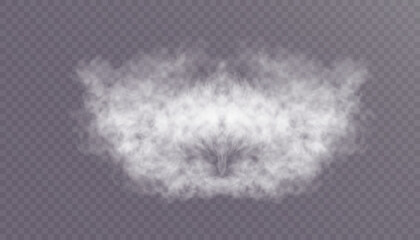 Translucent smoke or foggy cloud isolated on a transparent background. Abstract smoke texture explosion, smog fog effect. Realistic vector illustration.