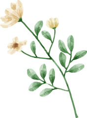 Watercolor Flower Illustration