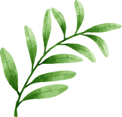 Fototapeta premium Leaves Watercolor Illustration