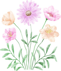 Watercolor Flower Illustration