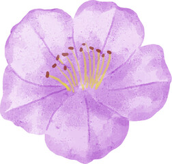 Watercolor Flower Cutout