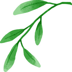 Leaves Watercolor Illustration