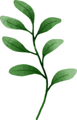 Leaves Watercolor Illustration