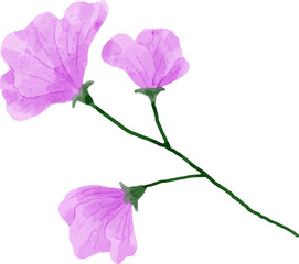 Fototapeta premium Watercolor Flower Illustration