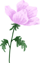 Fototapeta premium Watercolor Flower Illustration