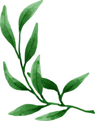 Leaves Watercolor Illustration