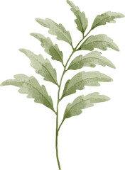 Hand painted watercolor leaves