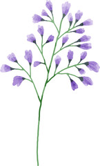 Watercolor Flower Bouquet