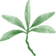 Hand painted watercolor leaves