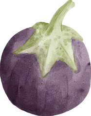 Eggplant Watercolor Illustration