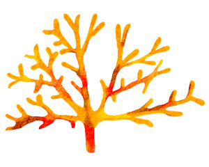 watercolor coral reef  , under ocean life with transparent background © jenjira