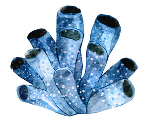 watercolor coral reef  , under ocean life with transparent background © jenjira