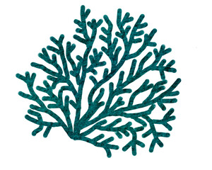 watercolor coral reef  , under ocean life with transparent background © jenjira