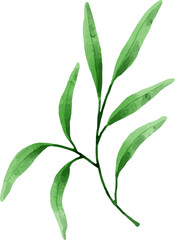 Hand painted watercolor leaves