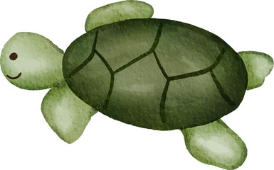Watercolor Turtle Illustration