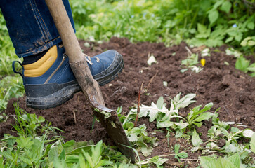 Human hands with shovel digging garden bed or farm. Farming, gardening, agriculture and people concept