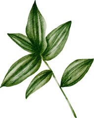 Hand painted watercolor leaves