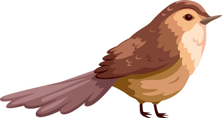 bird cute clipart