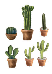 cactus in flowerpot watercolor set