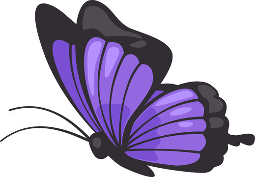Cartoon butterfly illustration