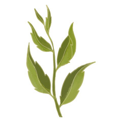 Watercolor Leaf, Green leaves clipart.