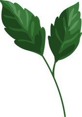 leaf cute clipart