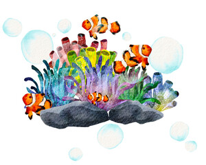 Watercolor of  Coral reef with tropical fish, clown fish and sea  anemones. © jenjira