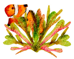 Watercolor of  Coral reef with tropical fish, clown fish and sea  anemones.