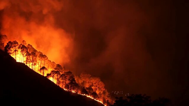 A time lapse of wild fire forest at night. Black and Orange.