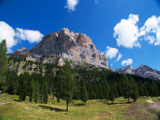passeggiando sul passo del falzarego, triveneto, italia