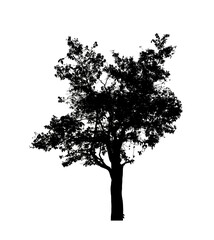 Tree silhouette for brush on white background.