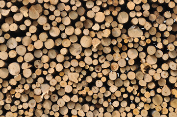 heap of wooden logs background