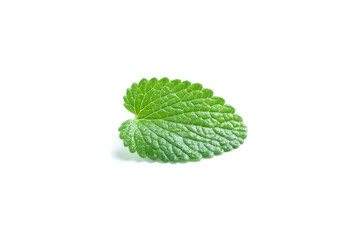 Aromatherapy concept, mint isolated on white background