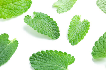 Aromatherapy concept, mint isolated on white background