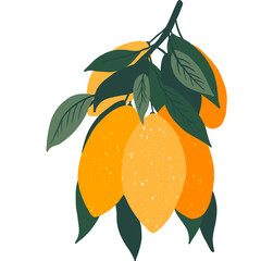 Mariam fruit PNG