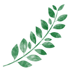 leaf in watercolor
