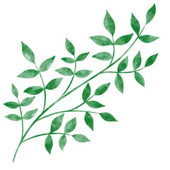 leaf in watercolor
