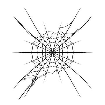 Spider webs element vector